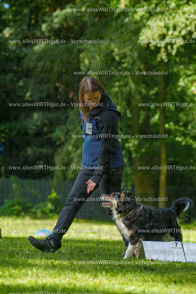 @allesWIRTHgut_Tierfotografie - www.allesWIRTHgut.de - 082704-7R506201 | Professionelle Tierfotografie in Mönchengladbach von Daniel Wirth (allesWIRTHgut). Liebevolle & natürliche Bilder von Hunden & Katzen für unvergessliche Erinnerungen.