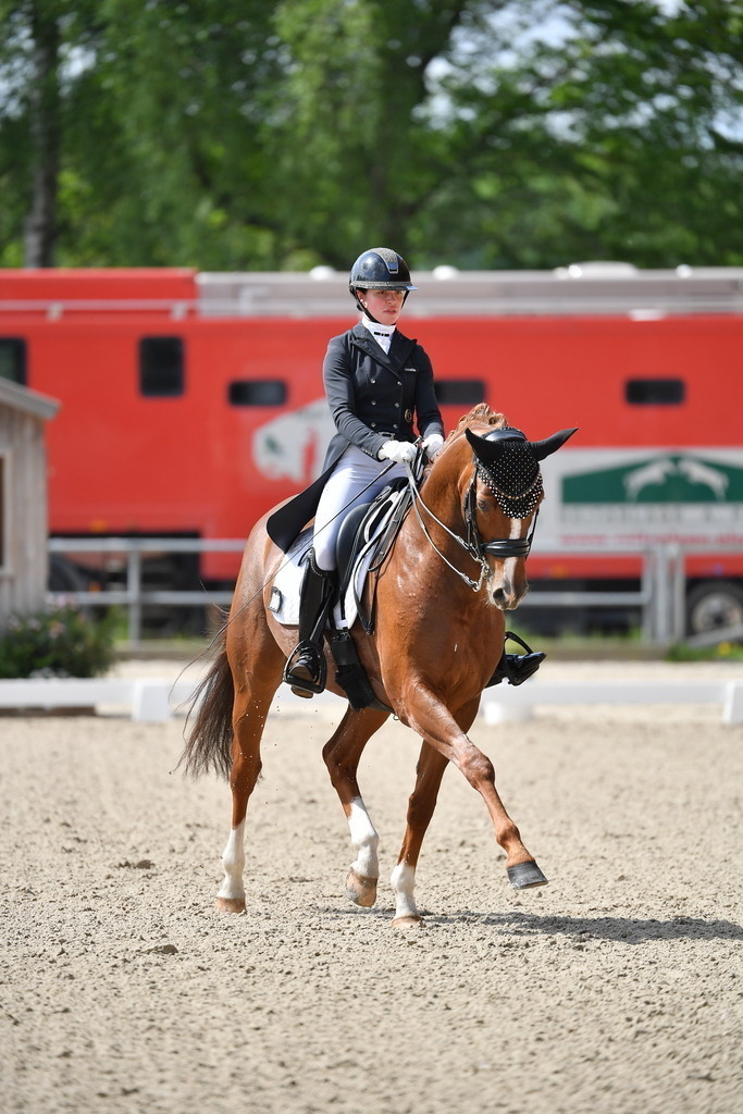 Plinke_25_121 | Der professionelle Turnierfotograf ✓ Reitsport Bilder ▷ Shop ✚ günstig & schnell ✚ mit Zugang für Redakteure