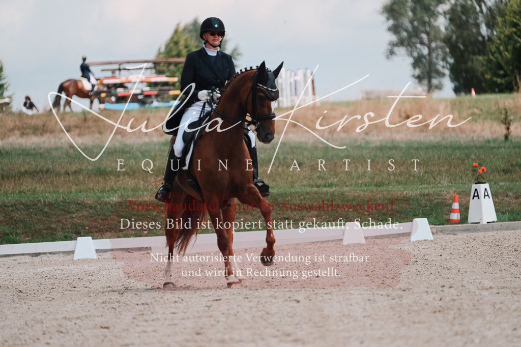 DSC_3799 | Pferde- und Turnierfotografie in Westsachsen. Pferdeportraits, Auftragszeichnungen und intuitive Kunst.