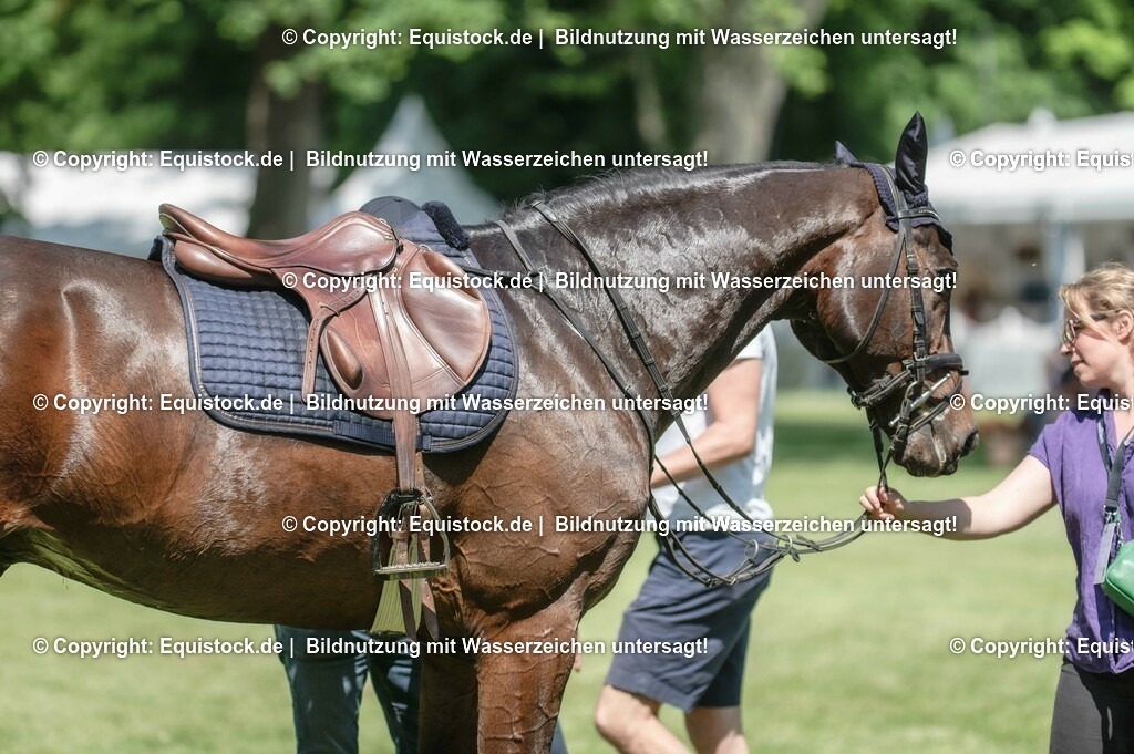 20230527_27_CCI4_Gelände_0079 | equistock