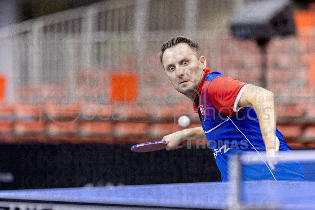 European_Championships_2024-10-18_145 | good-photos - Realisiert mit Pictrs.com