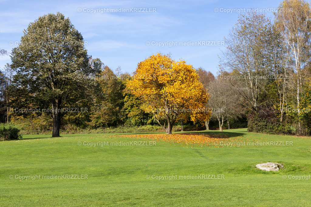 _J3A8903 | medienkrizzler - Realisiert mit Pictrs.com