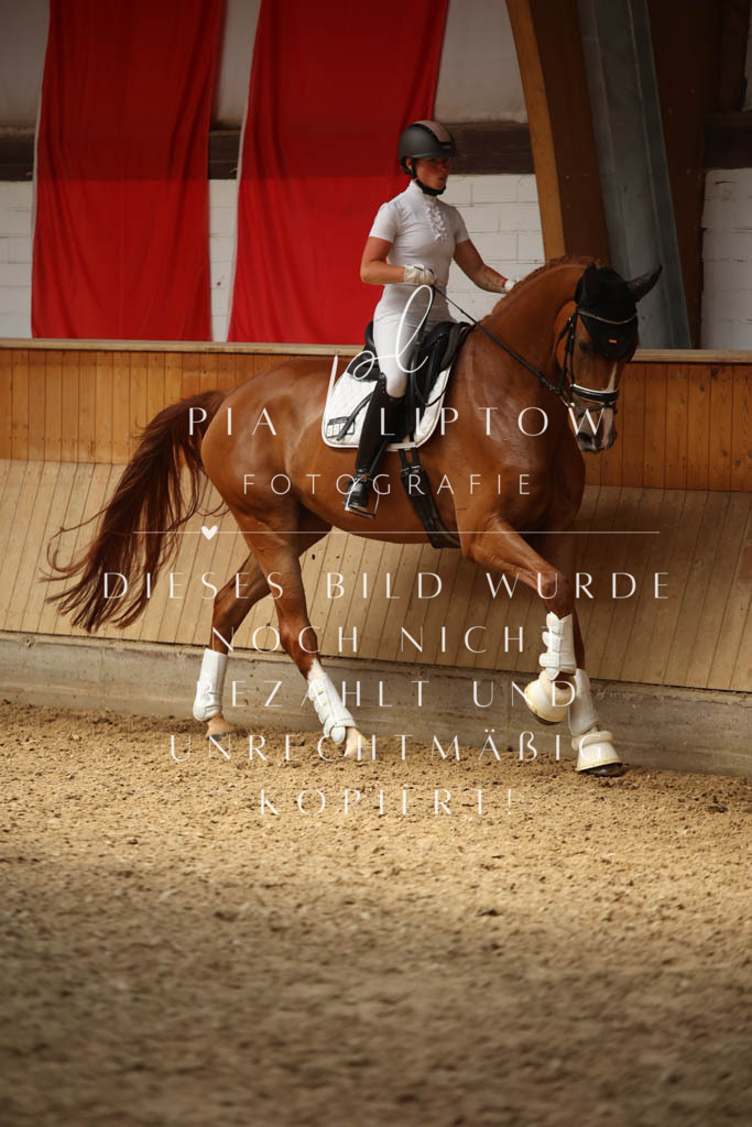 IMGS1442 | pl-fotografie