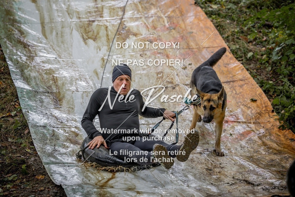 nelerasche_Hunsrück_Sa1430-1500_286-final | nelerasche