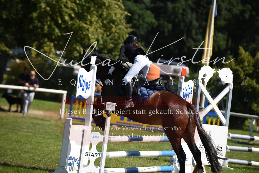 DSC_9592 | Pferde- und Turnierfotografie in Westsachsen. Pferdeportraits, Auftragszeichnungen und intuitive Kunst.