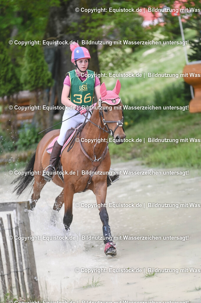 20250517_CCI1_Gelände_0420 | Foto: Thomas Hartig