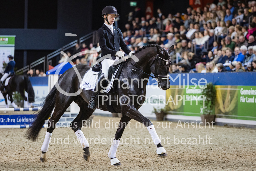 250108_Muenster_Hengstpräsentation-122 | Deine schönsten Turniermomente als professionelle Fotos! Entdecke hochwertige Pferdesport-Fotografie im Online-Shop. Jetzt Fotos finden & bestellen!