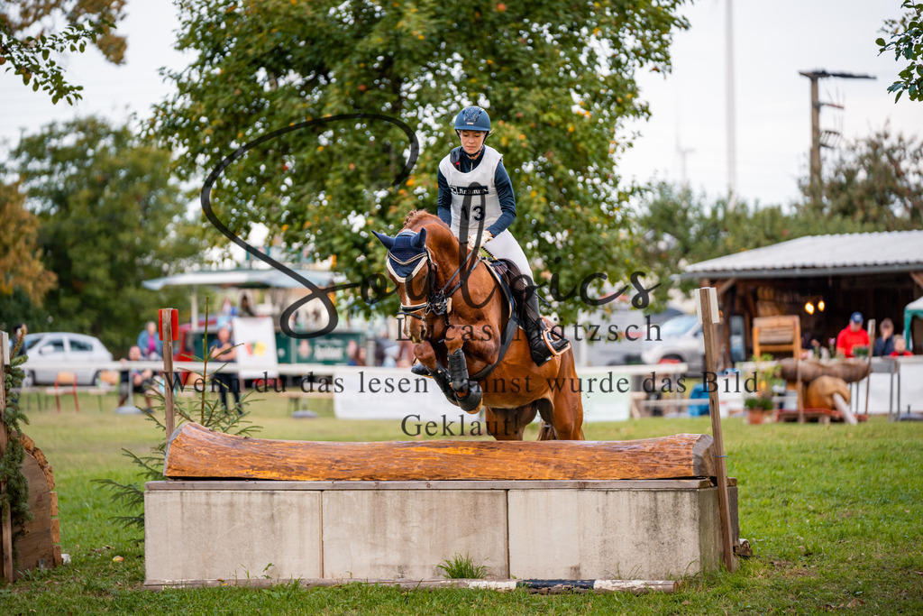 A7V02976 | Pferdefotograf