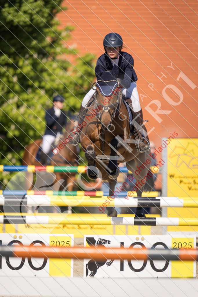 IMG_3776 | Sport-, Event- und Tierfotos in Profiqualität. Einfach auswählen, bestellen und herunterladen. Dein Moment – perfekt festgehalten.