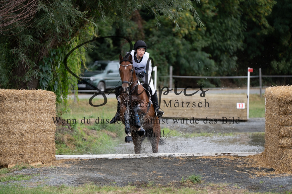 A7V00616 | Pferdefotograf