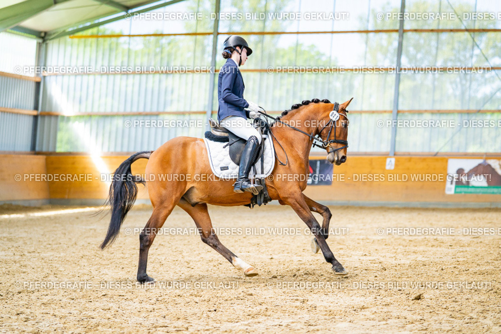 DSC07976 | Pferdegrafie