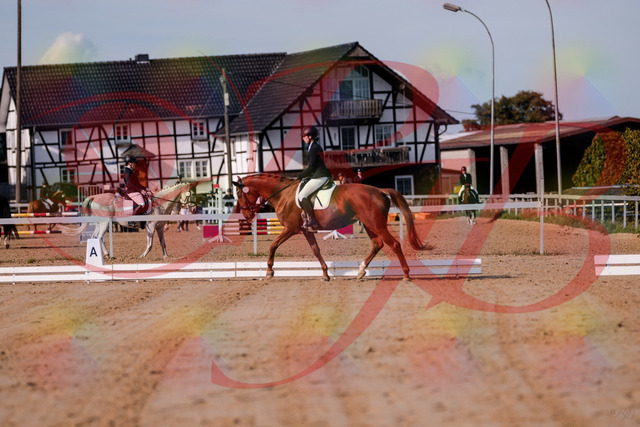 2026_10_03_Siefer-Hof_114034_Z81_83000442 | Professionelle Reitsport-, Turnier- und Eventfotografie von Robert Broda. Galerien mit ausgewählten und bearbeiteten Bildern direkt online ansehen und bestellen.