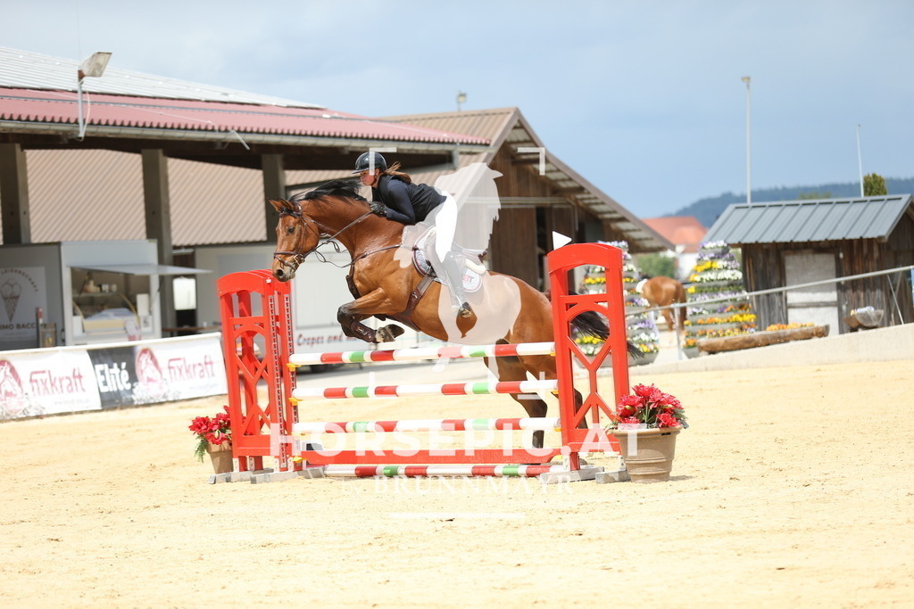 DL2Q1580 | Willkommen bei Brunnmayr - Design & Fotografie – Ihrem Spezialisten für Reitturniere und Pferdeveranstaltungen in Oberösterreich, Salzburg und Bayern! Seit über 17 Jahren sind wir leidenschaftlich dabei.