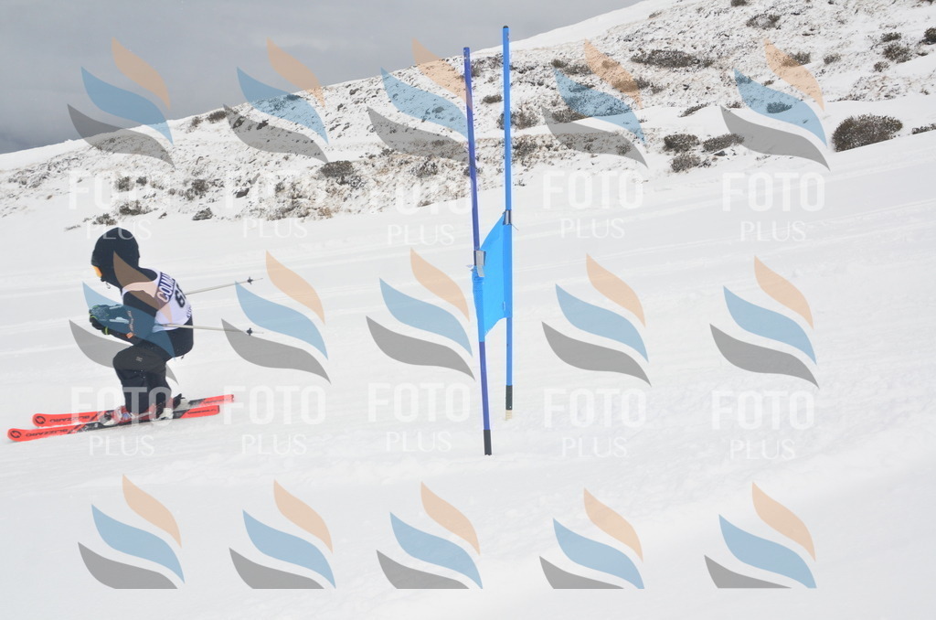 A5690 | holidayphoto