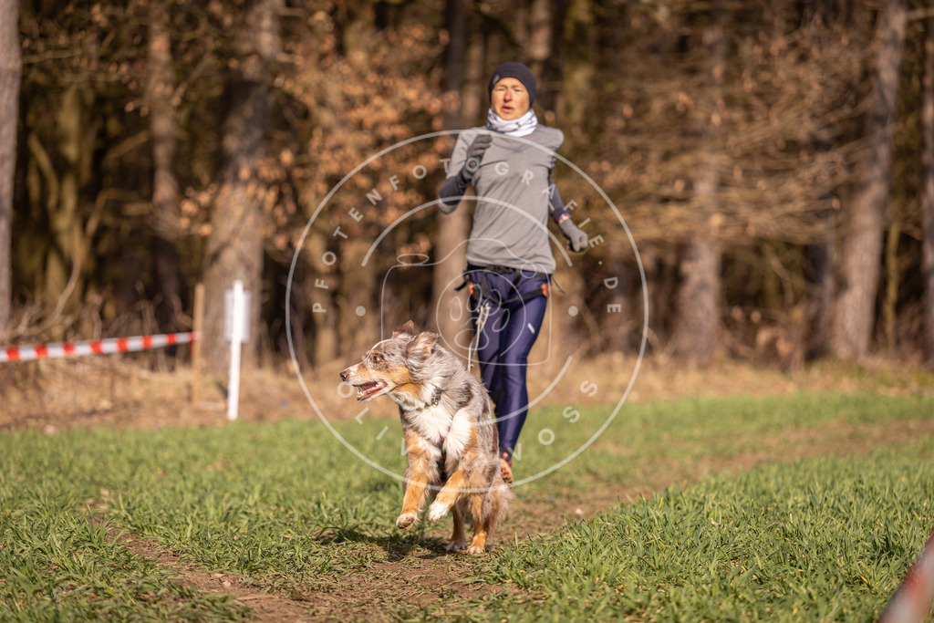 DV3A6440 | Hundefotografie, Tierfotograf, Pfotenfotografie, Fotoshooting Hund, Hunde Portrait, Hundesport, Hundeportraits, Heideshooting, Hunde, Sportfotograf, Hundefotograf, Turnierhundsport, THS,  - Realisiert mit Pictrs.com