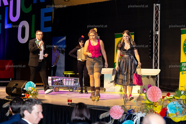 3. Faschingssitzung des Faschinklub Feldkirchen | Bildershop von pixelworld.at - Realisiert mit Pictrs.com