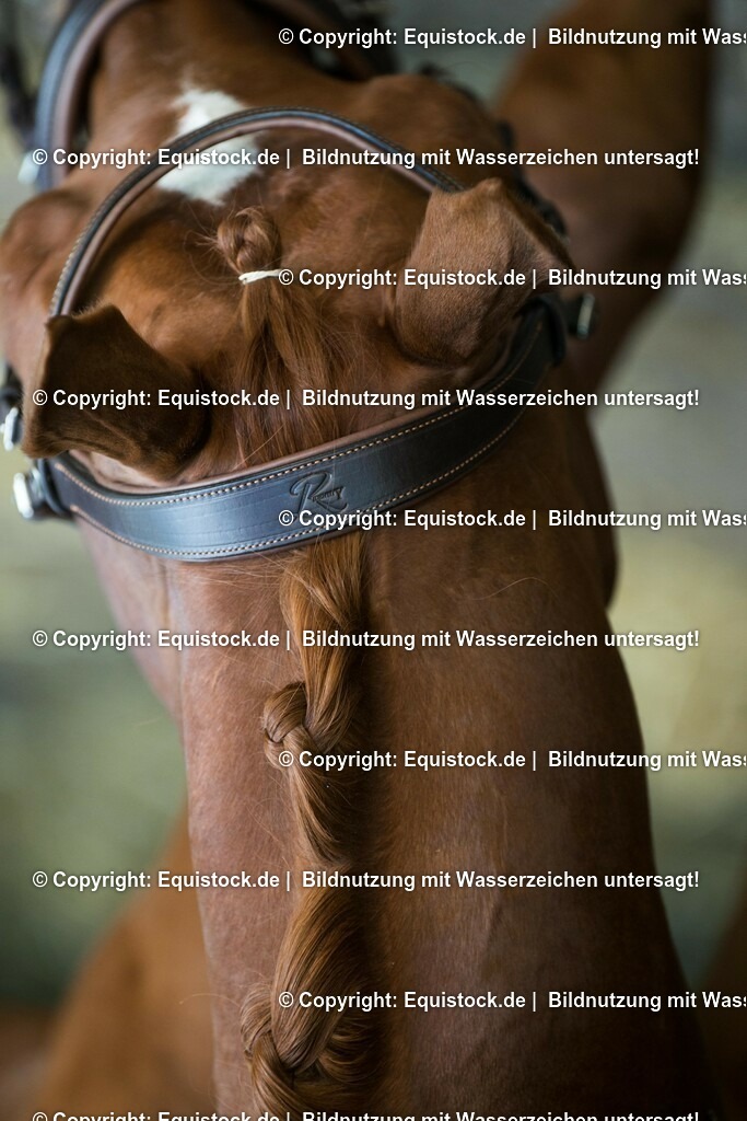 TS_20170624_Details_Trense_0004 | Foto: Thomas Hartig