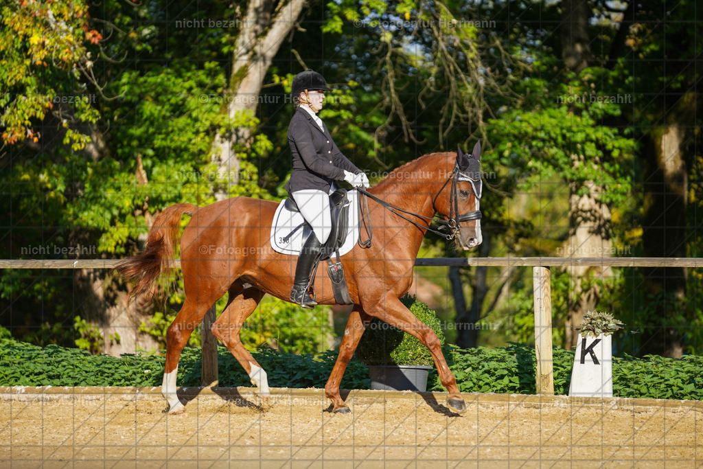 20221007-FAH00217 | Diessen am Ammersee, 2022, Dressur- und Springturnier, Reitsportbilder, Turnierfotografen Bayern, Pferdefotografen, Fotoagentur Herrmann, Turnierbilder