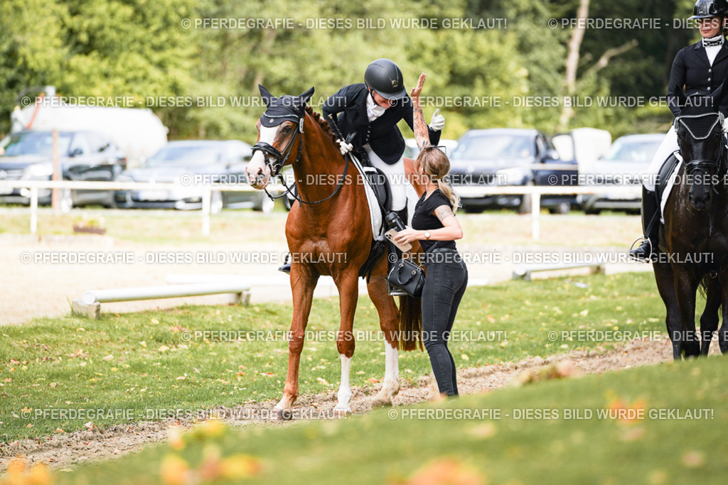 DSC03341 | Pferdegrafie