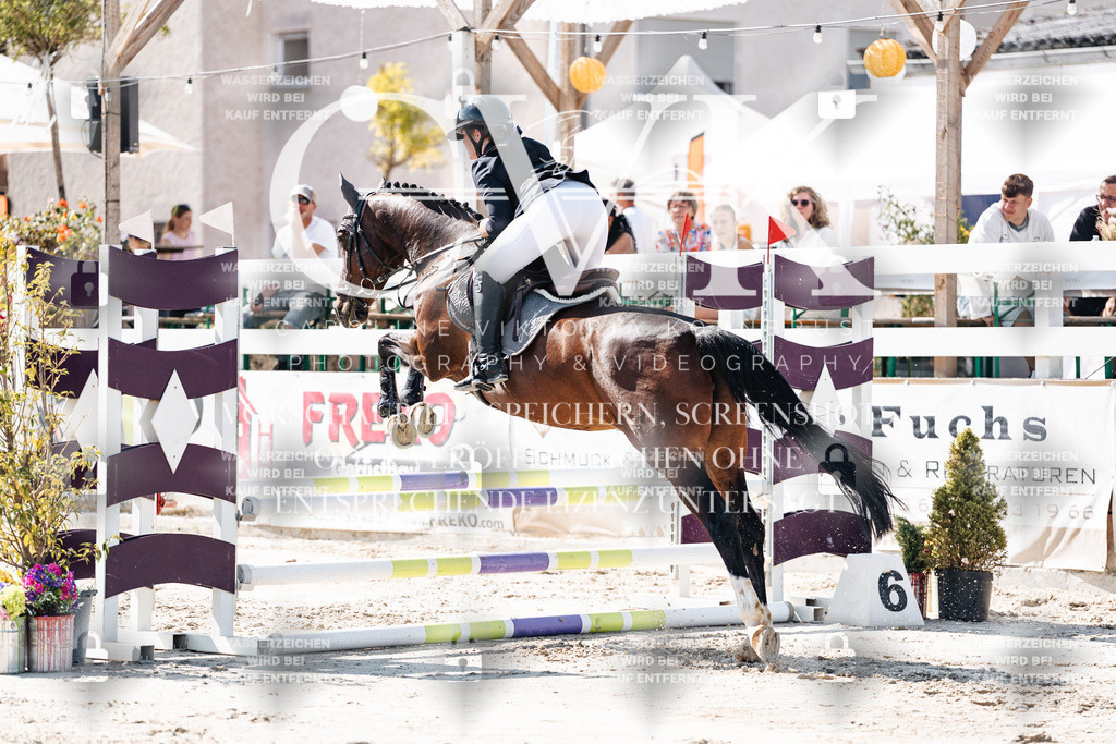 CK905252 | Turnierfotografie Pferdefotografie Trier Rheinland-Pfalz Pferdesport Reitsport Tierfotografie Sportfotografie Pferdevideo Pferdevideografie Equestrianvideography equestrianphotography  - Realisiert mit Pictrs.com
