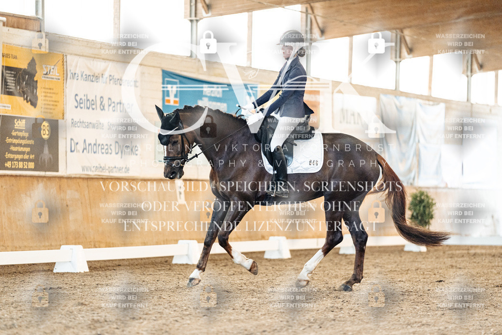 CK906887 | Turnierfotografie Pferdefotografie Trier Rheinland-Pfalz Pferdesport Reitsport Tierfotografie Sportfotografie Pferdevideo Pferdevideografie Equestrianvideography equestrianphotography  - Realisiert mit Pictrs.com