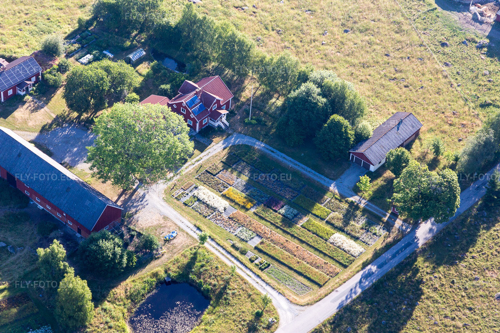 Vue aérienne: Vue de la ville à Opparyd dans le département Kronoberg, Suède. Photo: IMG_108128.jpg prise le 28/06/2018 par Werner Riehm/FLY-FOTO.eu – Résolution de l'original: 5472 x 3648 px