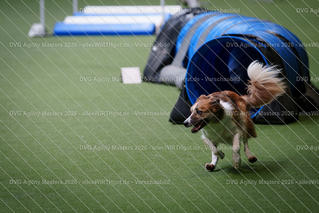 allesWIRTHgut_Tierfotografie-DVG_Agility_Masters_2026-10_57-7R500887 | Professionelle Tierfotografie in Mönchengladbach von Daniel Wirth (allesWIRTHgut). Liebevolle & natürliche Bilder von Hunden & Katzen für unvergessliche Erinnerungen.