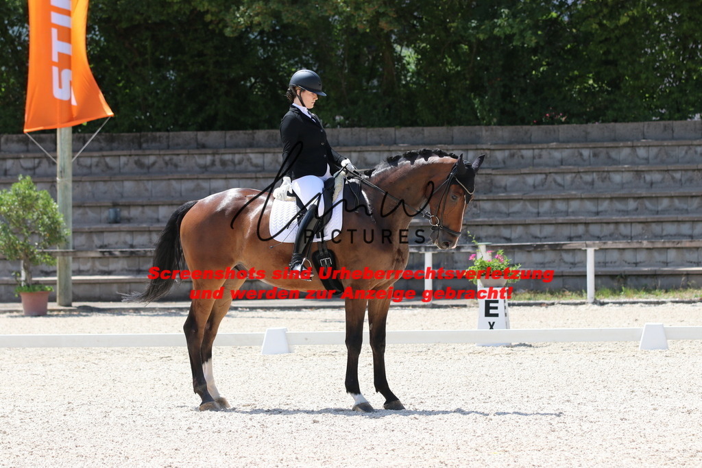 IMG_4880 | lmwpictures - Realisiert mit Pictrs.com