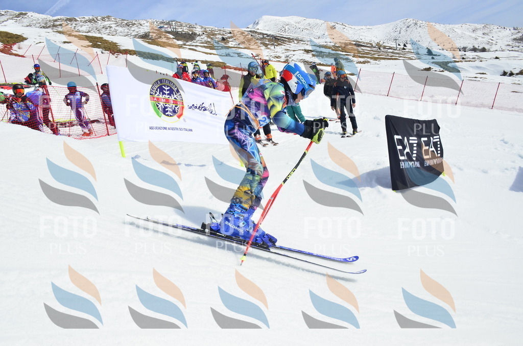 _ELE1619 | holidayphoto