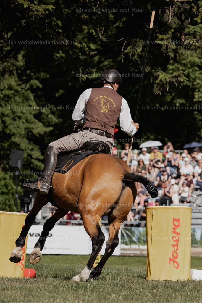 _AM10795 | Pferd International München 2025