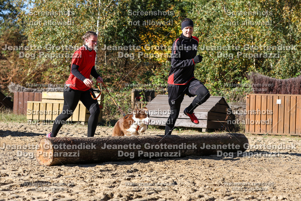 Dog Paparazzi - Strongdog 10-25-2801 | Dog Paparazzi Jeanette Grottendiek Fotografie & Videografie - Realisiert mit Pictrs.com