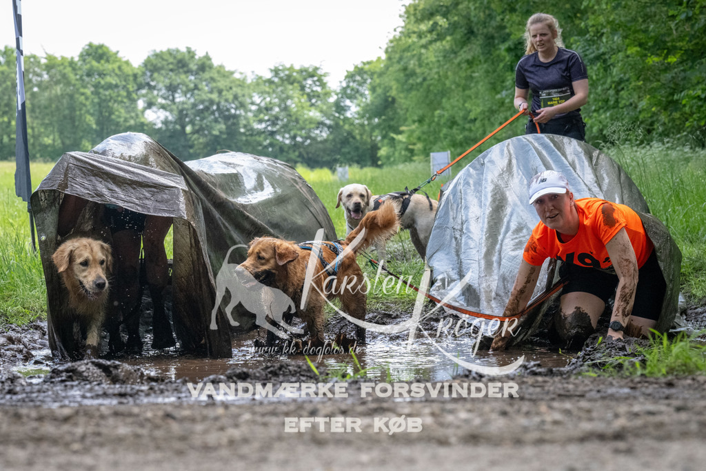1145_ZZ94346 | kk-dogfotos