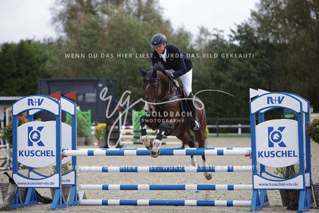 1J2A1468Lucas Wenz_ Crazy Peter 3_ Kn1032_ Havekost | Foto- und Videografie für alles rund ums Pferd. Hochwertige Bilder und Videos vom Spring- und Dressurreiten, Voltigieren & mehr. Jetzt aktuelle Veranstaltungen und Preise im Shop ansehen. - Realisiert mit Pictrs.com