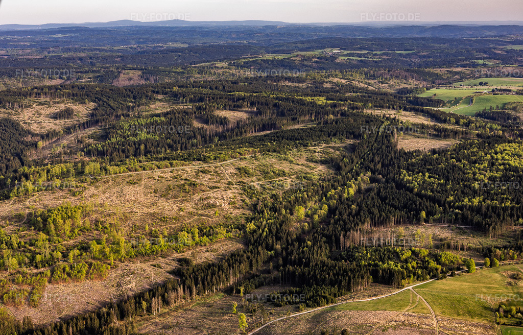 Luftbild: ehemalige innerdeutsche Grenze zwischen Bayern und Thüringen mit vom Borkenkäfer schwer geschädigten Thüringer Waldgebieten in Lehesten im Bundesland Thüringen in Deutschland. – Foto: IMG_155888.jpg vom 02.05.2026 durch Werner Riehm/FLY-FOTO.de – Auflösung des Originals: 5649 x 3617 px