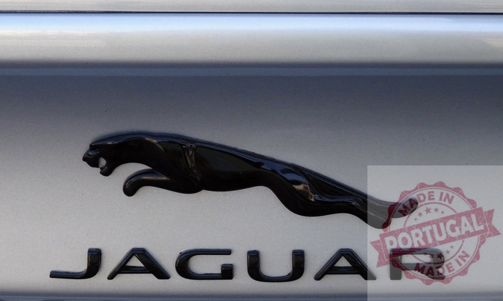 Jaguar car brand leaper logo on vehicle | Black Jaguar emblem and nameplate on a silver car surface - Realisiert mit Pictrs.com