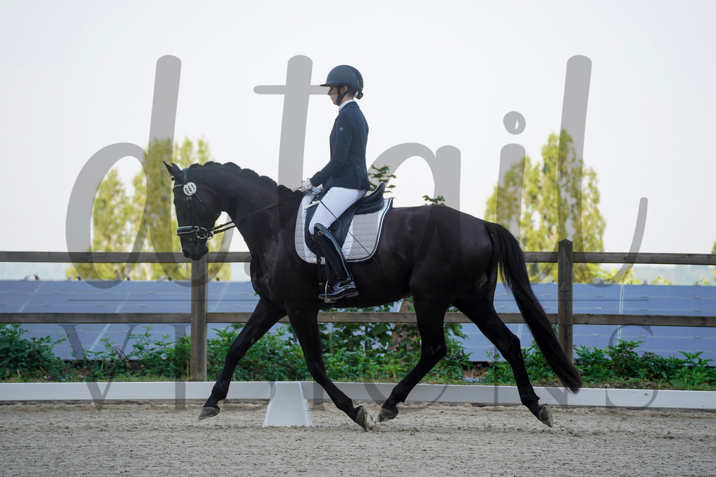 tgbhfreitag (65) | d.tail Visions - Shop - Realisiert mit Pictrs.com