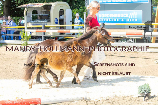 _MG_0545 | mandyhollmannphotographie
