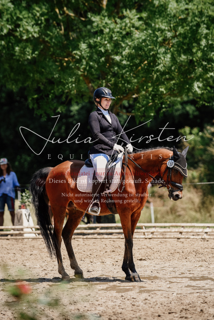 DSC_1908 | Pferde- und Turnierfotografie in Westsachsen. Pferdeportraits, Auftragszeichnungen und intuitive Kunst.