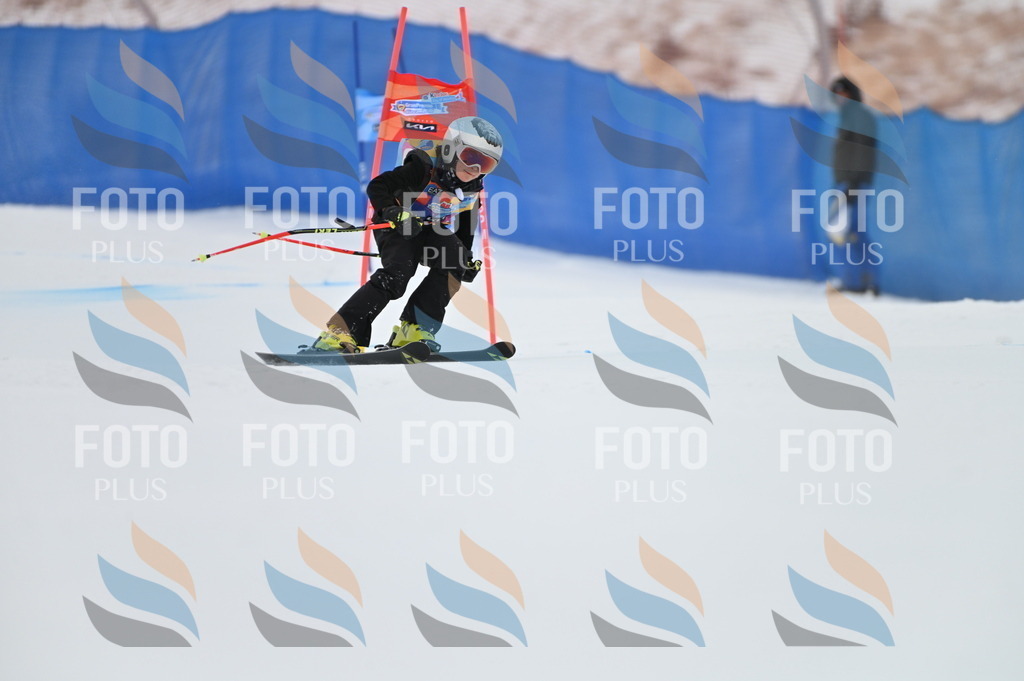 BGV_9643 | holidayphoto