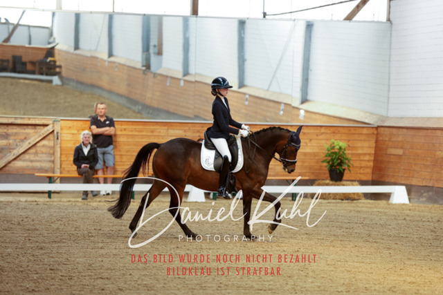 _62_7378 | Turniersportfotografie; Pferdefotografie; Dressurfotografie