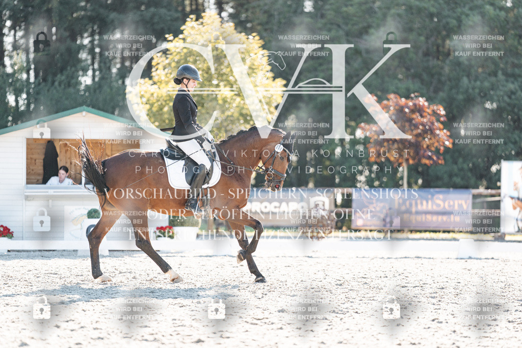 CK906805 | Turnierfotografie Pferdefotografie Trier Rheinland-Pfalz Pferdesport Reitsport Tierfotografie Sportfotografie Pferdevideo Pferdevideografie Equestrianvideography equestrianphotography  - Realisiert mit Pictrs.com