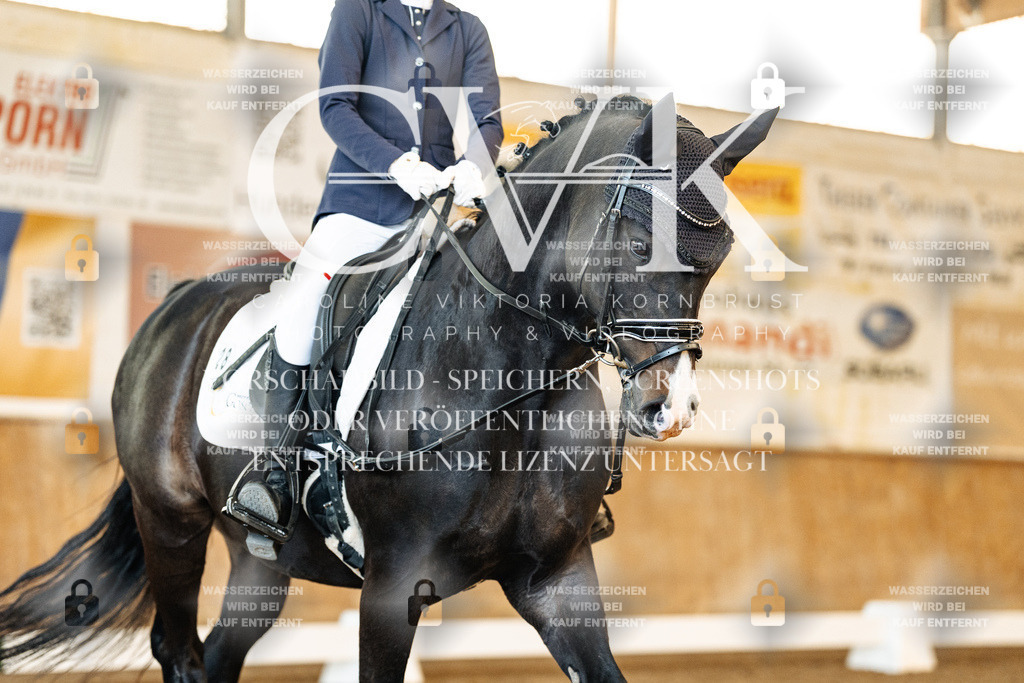 CK908229 | Turnierfotografie Pferdefotografie Trier Rheinland-Pfalz Pferdesport Reitsport Tierfotografie Sportfotografie Pferdevideo Pferdevideografie Equestrianvideography equestrianphotography  - Realisiert mit Pictrs.com