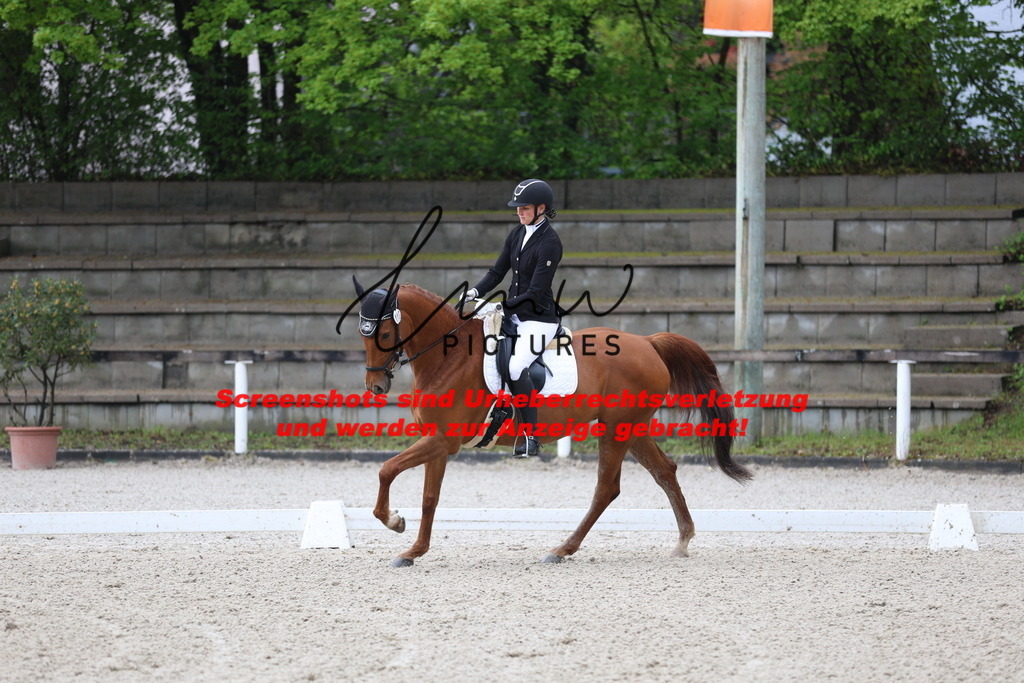 A40A8423 | lmwpictures - Realisiert mit Pictrs.com