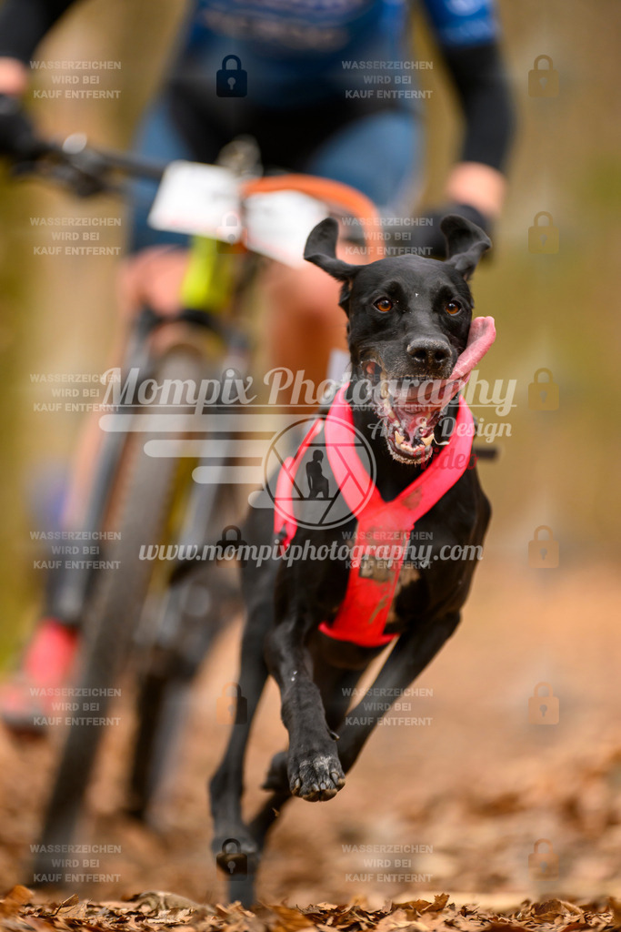 MompixPhotography_Habay2025_SA_Bike-141 | PayLife