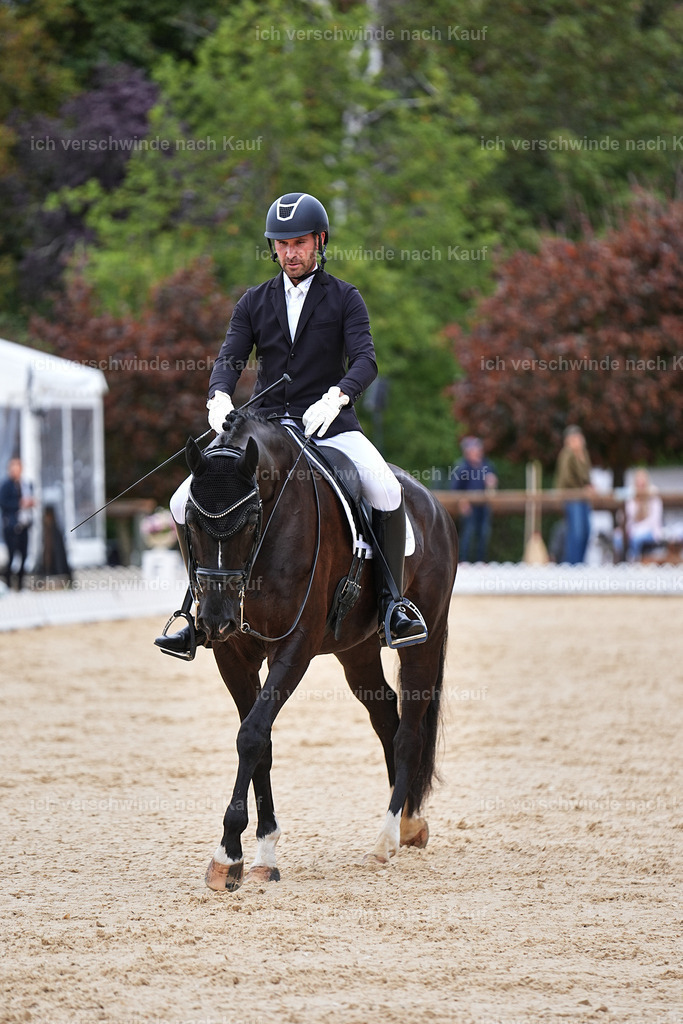 04_1-045-Dressur M__ -Marixx-2756 | working equitationturnier fotograf videograf stoibphotography marixx film working equitation deutschland reitsport turnierfotografie eventfotografie equestrian events