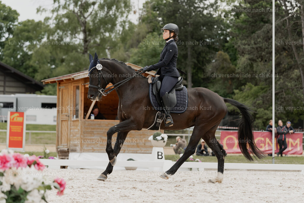 WE_DR_Stoib_316_PI2025_446 | Pferd International München 2025