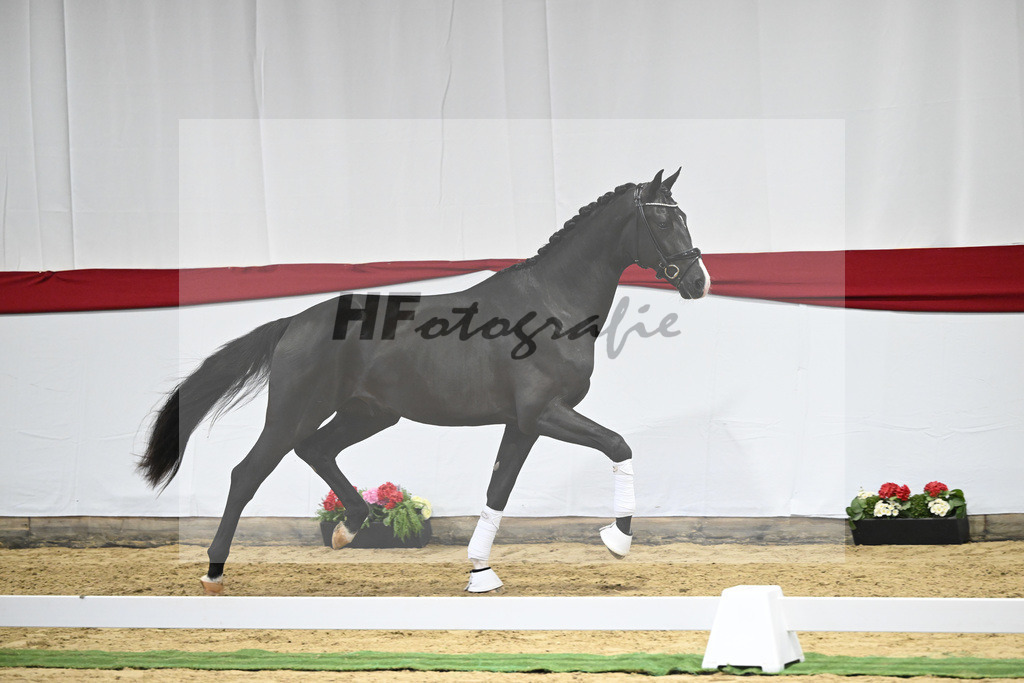 Kat-Nr. 19 v. Escamillo_Dalsem_63220379 | hf-fotografie - Realizzato con Pictrs.com