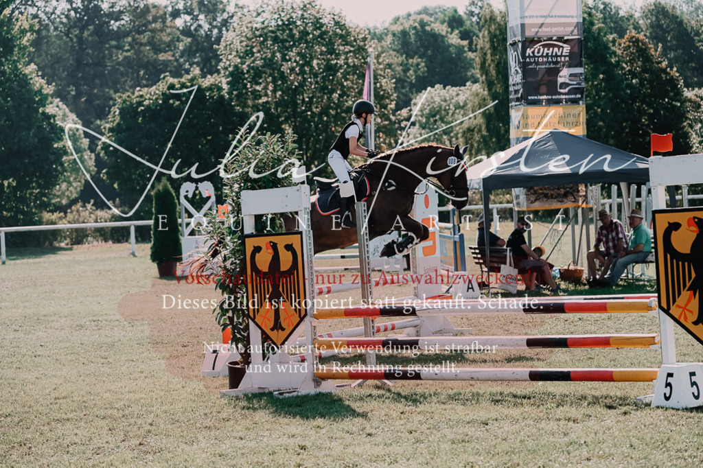 DSC_4872 | Pferde- und Turnierfotografie in Westsachsen. Pferdeportraits, Auftragszeichnungen und intuitive Kunst.