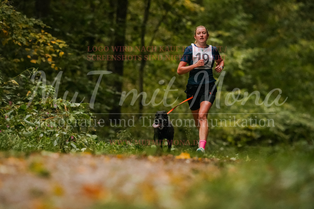 20251005_THS_Turnier-158 | MuT (Mensch und Tier) mit Mona - Fotografie und Tierkommunikation - Realisiert mit Pictrs.com