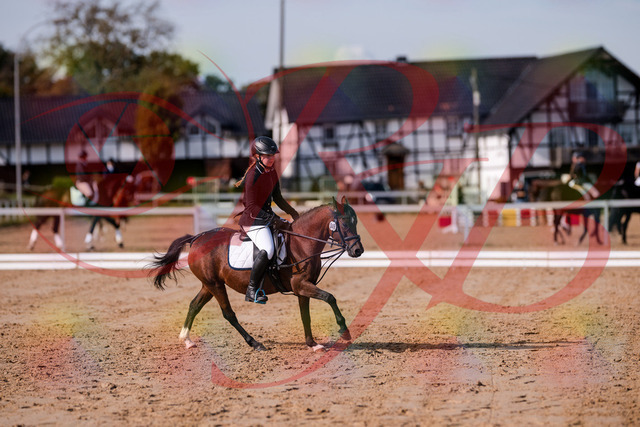 2026_10_03_Siefer-Hof_121020_Z81_12373378 | Professionelle Reitsport-, Turnier- und Eventfotografie von Robert Broda. Galerien mit ausgewählten und bearbeiteten Bildern direkt online ansehen und bestellen.